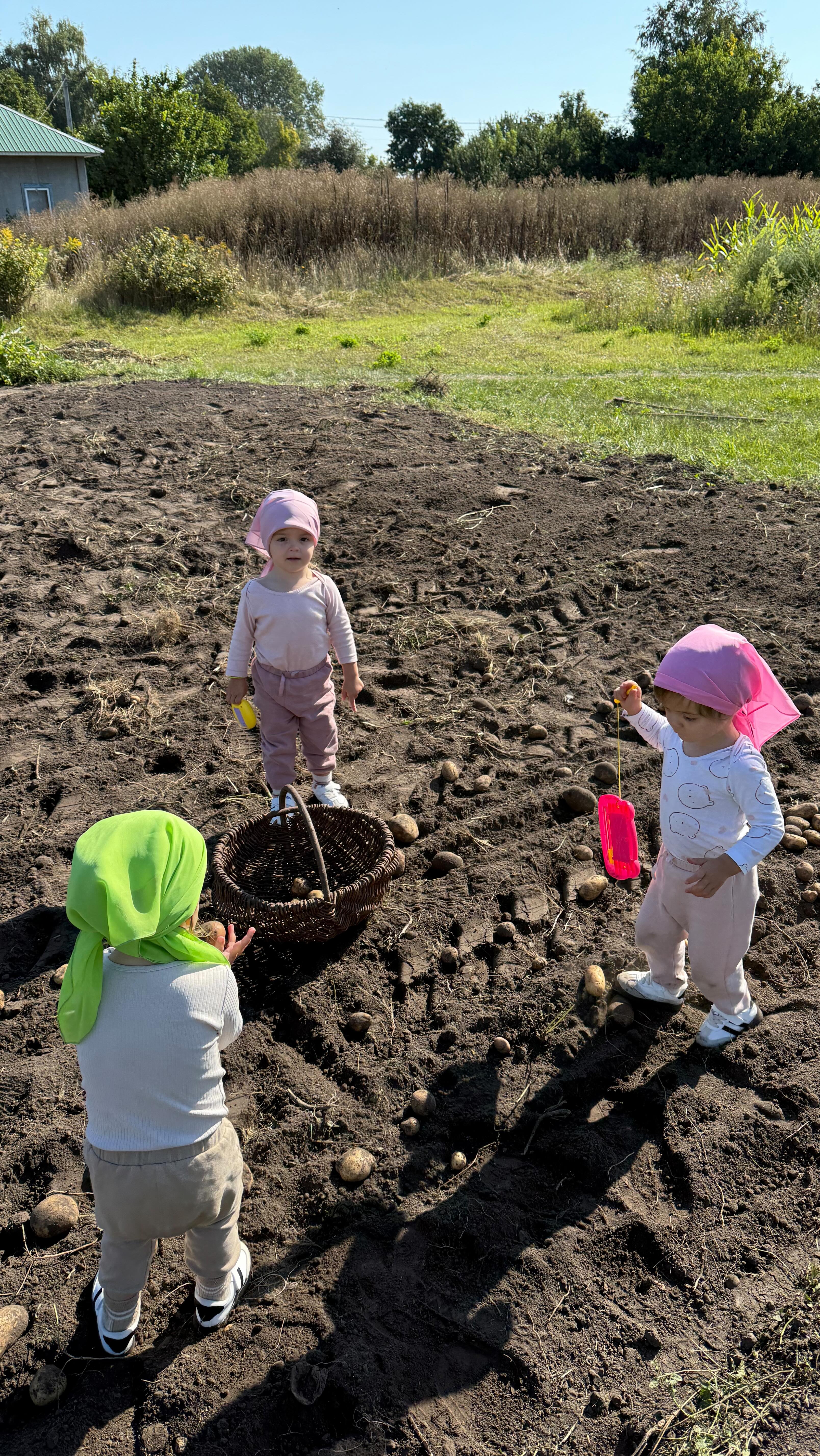 Кому потрібна допомога?😁🫛👩🌾